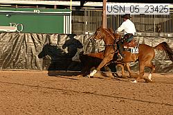 usn_05_23425 thumbnail