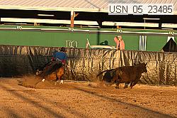 usn_05_23485 thumbnail