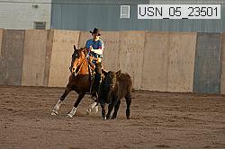 usn_05_23501 thumbnail