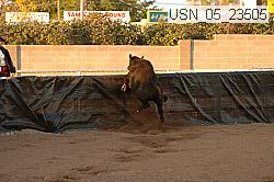 usn_05_23505 thumbnail