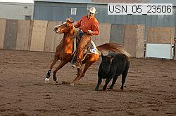 usn_05_23506 thumbnail