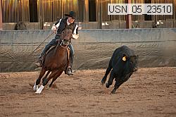 usn_05_23510 thumbnail