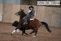 usn_05_23514 thumbnail