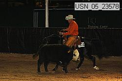 usn_05_23578 thumbnail