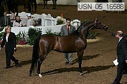 usn_05_16588 thumbnail