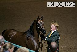 usn_05_16648 thumbnail