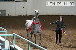 usn_05_11100 thumbnail