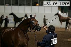 usn_05_11305 thumbnail