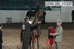 usn_05_11337 thumbnail