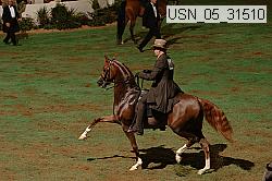 usn_05_31510 thumbnail