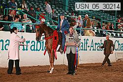 usn_05_30214 thumbnail