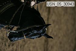 usn_05_30943 thumbnail