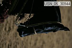 usn_05_30944 thumbnail