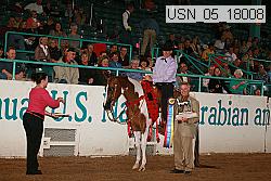 usn_05_18008 thumbnail