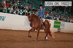 usn_05_15021 thumbnail