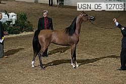 usn_05_12703 thumbnail