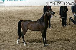 usn_05_12846 thumbnail