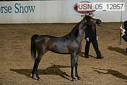 usn_05_12857 thumbnail