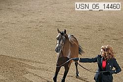 usn_05_14460 thumbnail