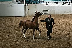 usn_05_14574 thumbnail