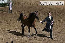 usn_05_14715 thumbnail
