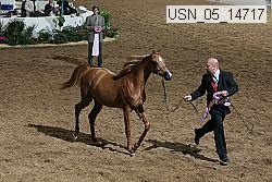 usn_05_14717 thumbnail