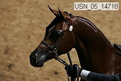 usn_05_14718 thumbnail