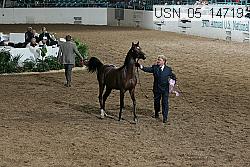 usn_05_14719 thumbnail