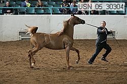 usn_05_30304 thumbnail