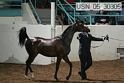 usn_05_30305 thumbnail