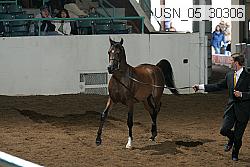 usn_05_30306 thumbnail