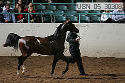 usn_05_30308 thumbnail
