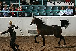 usn_05_30309 thumbnail