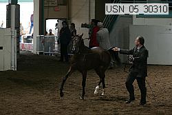 usn_05_30310 thumbnail