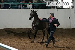 usn_05_30312 thumbnail