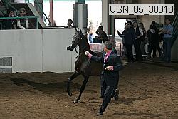 usn_05_30313 thumbnail
