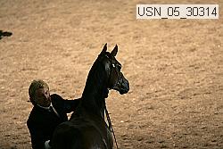 usn_05_30314 thumbnail