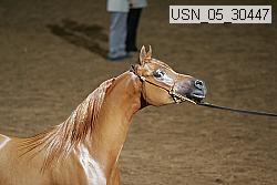 usn_05_30447 thumbnail