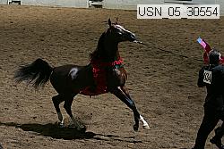 usn_05_30554 thumbnail
