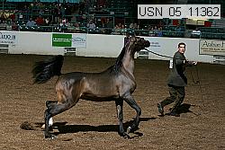 usn_05_11362 thumbnail