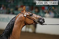 usn_05_11480 thumbnail