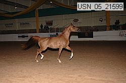 usn_05_21599 thumbnail