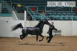 usn_05_17660 thumbnail