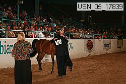 usn_05_17839 thumbnail