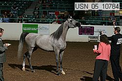 usn_05_10784 thumbnail