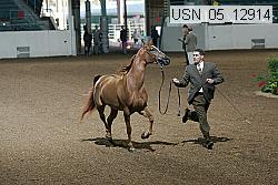 usn_05_12914 thumbnail