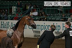 usn_05_10453 thumbnail