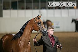 usn_05_10457 thumbnail