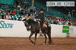 usn_05_12158 thumbnail
