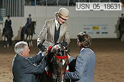 usn_05_18631 thumbnail